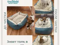 Химчистка мебели на дому, фотография 6