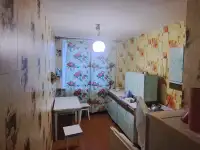 Продам 3-х комнатную квартиру д. Хальч, фотография 6