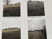 Продажа участка в д. Марьяливо, фотография 10