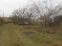 Дачный участок с домиком, фотография 5