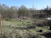 Дачный участок в садовом товариществе Подигрушье, СТ Подигрушье, Смолевичский р-н, Озерицко-Слободской сс. , уч. 206, фотография 7