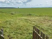 Покос травы, бурьяна, фотография 6