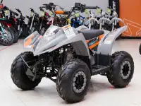 Квадроцикл Regulmoto SK11 (к-т з/ч), фотография 4