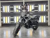 Мотоцикл Regulmoto DUKE 300, фотография 11