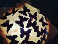 Букет из ярких бабочек с подсветкой, фотография 4