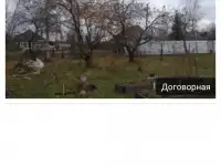 Помощник по хозяйству (уборка двора)