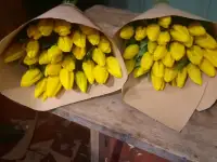 Продам, фотография 3