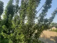 Продажа, фотография 7