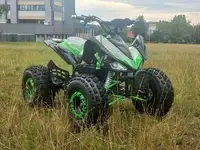 Квадроцикл amoto 70u renegade 1000, фотография 7