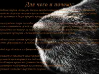Рыбное масло из семейства лососёвых рыб, фотография 5