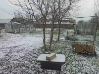 Продам дачу, фотография 7