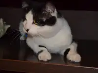 Анатолий ищет дом., фотография 3
