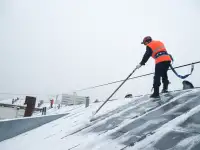 Услуги арбористов, промышленный альпинизм и аренда спецтехники, фотография 8