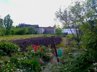 Продам дачный участок с летним домиком, Улановичи, фотография 2