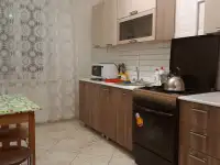 Квартира по суткам (командированным)