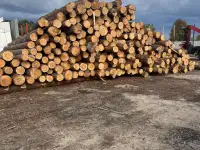 Требуется рамщик