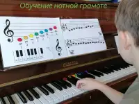 Уроки фортепиано. Пианино. Витебск., фотография 3
