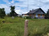 Дом, Молодечненский район, деревня Драни , хожовский сельсовет, фотография 2