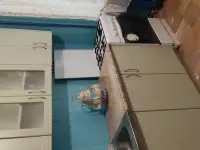 Сдам, Пр.Рокоссовского д.120/50