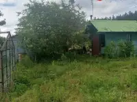 Продам дачный участок в 7 км от Ольшанки Гродно, фотография 2
