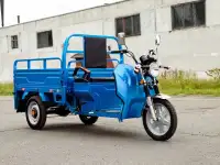 Грузовой электротрицикл AVM Cargo 1500, фотография 5