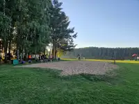Продается участок рядом с озером, д. Ольгиняны, фотография 10