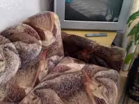 Диван