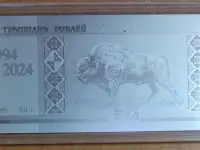Белорусский рубль 30 лет - серебро, памятная в капсуле.