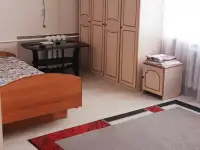 Уютная квартира студентам-заочникам,командированным, фотография 4