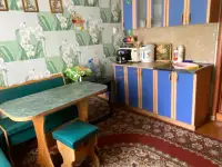 Дом в деревне, деревня Левки, Щитковичский сельсовет, Стародорожский район, Минская область
