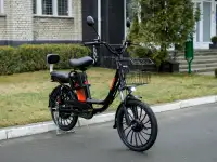 Электровелосипед AVM E-ALFA 20 Pro, фотография 2