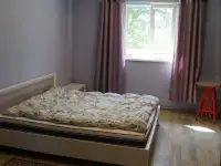 Продам дом, д.Горовые, 19А, Полоцкий район, Боровухский сельсовет, фотография 7