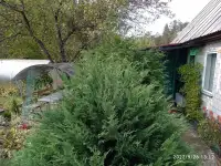 Продаётся Дача Деражня СТ Связист, фотография 10
