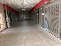 Сдаются в аренду торговые павильоны, Меньковский тракт 2, фотография 5