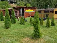 Сдам баньку, фотография 8