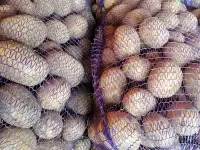 Продам картофель, фотография 2