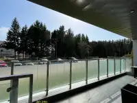 Тонировка офисных перегородок матовыми пленками., фотография 6