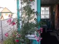Продается домик деревянный теплый в д.Стайки Воложинского района, фотография 5
