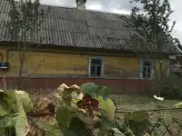 Продам дом в деревне, Брестская область, Березовский район, 