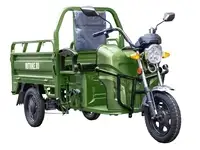 Грузовой электротрицикл rutrike круиз 60v/1000w, фотография 1