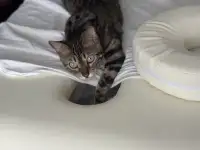 Классический массаж