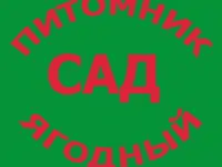 САЖЕНЦЫ КЛУБНИКИ - 50 сортов  - купить в Москве и Смоленске  СПБ, фотография 9