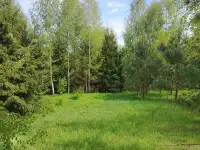 Участок между двух озёр и реки, Витебская обл, ушачский р, жаркий сс, д. Пряники, фотография 4