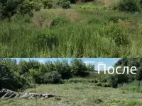 Покос травы/бурьяна/кустов Волковыск и пригород, фотография 6