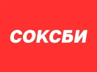 Soxbe - яркие носки для мужчин, женщин и детей, фотография 3