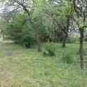 Дом , рядом лес, луг, озеро., фотография 6