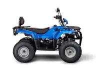 Квадроцикл irbis atv250