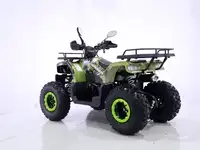 Квадроцикл yacota warrior 200 pro, фотография 4