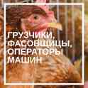 Требуются грузчики, фасовщицы, операторы машин