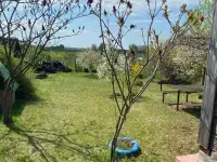 Продам  деревенский дом, фотография 4